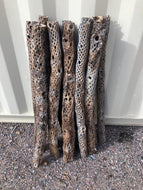 10 extra long cholla 36" (3 feet) each