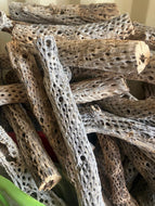 10 Cholla Wood Extra Thick 2" - 3" Diameter 18" - 24"