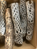 800 Cholla Wood 12" Long 1.5" diameter bulk order