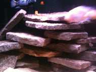 Five lbs of Arizona Red Flagstone for Fish Aquariums