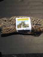 5 Arizona Cholla Wood - 12' - 14"