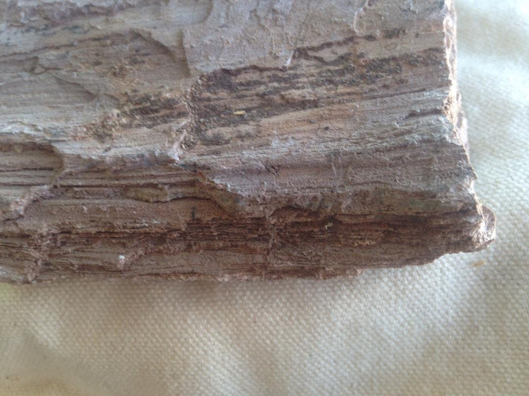 Three lbs of Petrified Wood for Fish Aquariums