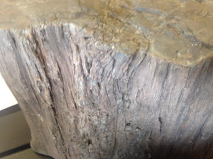 Petrified Wood Logs  Landscape Boulders Rocks Supply
